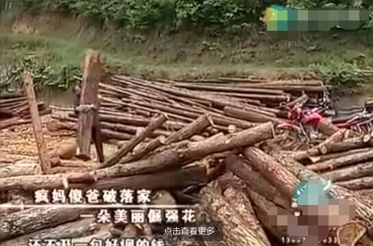 在破落家里，小海萱是朵美丽的坚强花