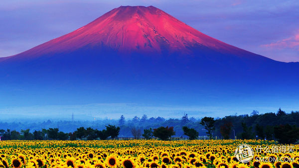 最佳ips屏幕笔记本推荐,高分屏笔记本和ips屏幕哪个好