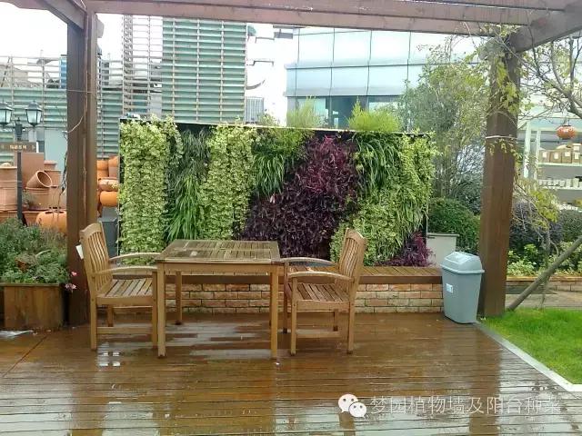 室内植物墙安装效果,室内植物墙有什么优点