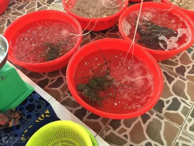 泰国豪华游一价全包,泰国豪华游价格