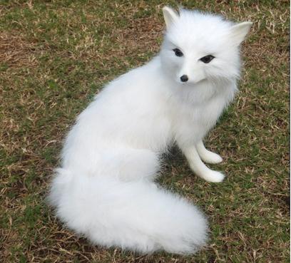 我的同学是狐仙的后代