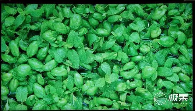 选电视需要看哪些数据,电视选什么样的电视好