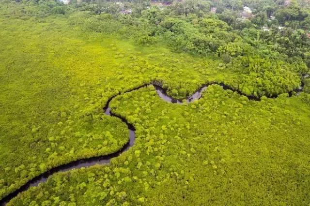帕劳旅游吃住攻略,超强整理去帕劳不得不看的攻略