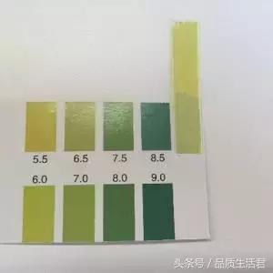 牙膏届的网红款到底怎么样？11款评测给你看