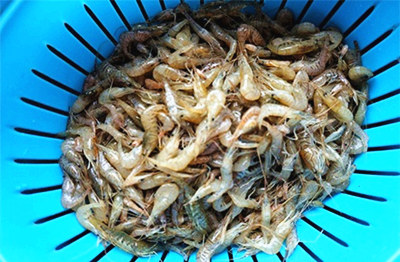 韭菜炒小河虾的家常做法窍门,小河虾除了炒韭菜还能怎么做