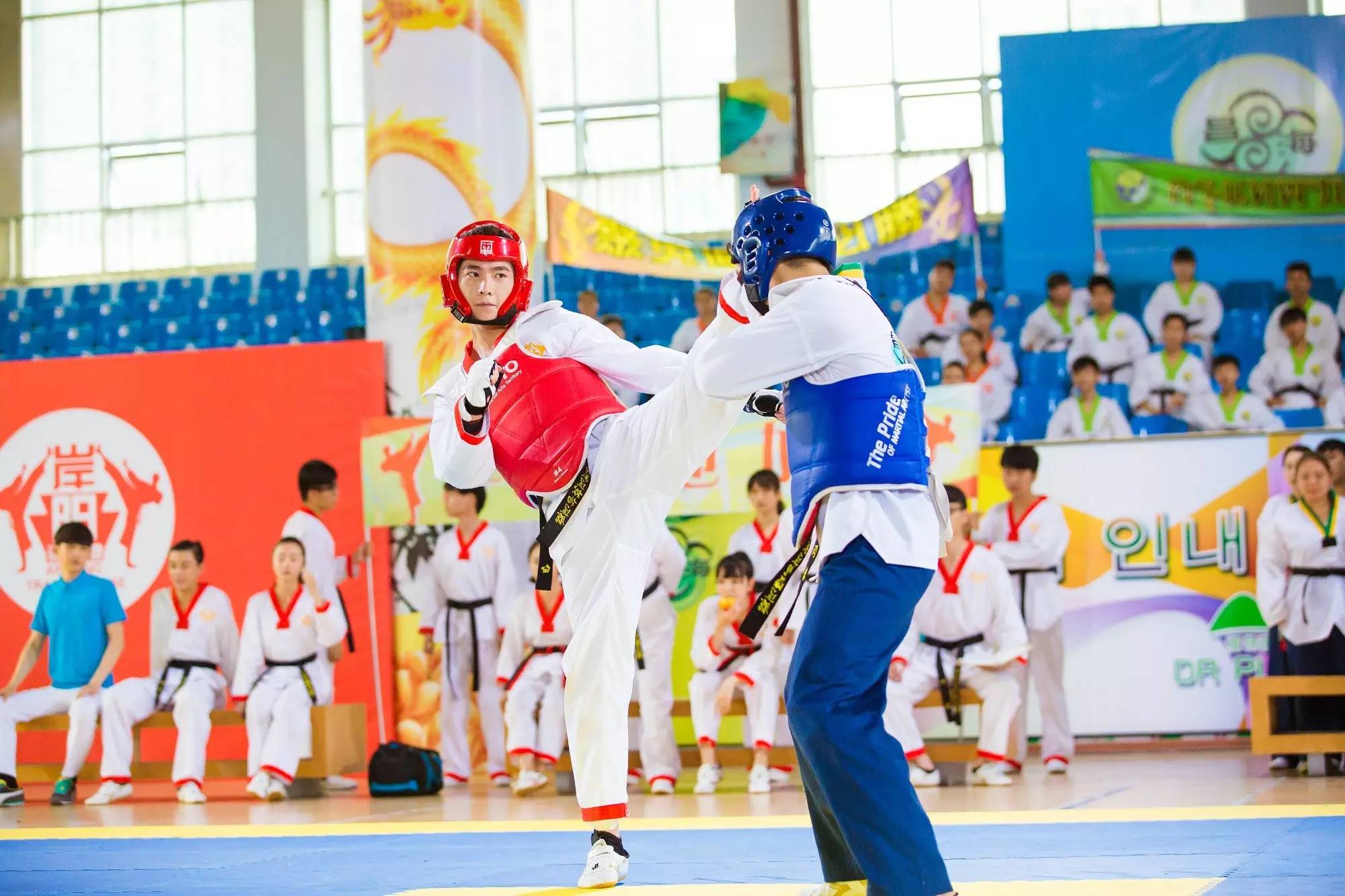 看个电视就要学武术，你咋不上天呢？