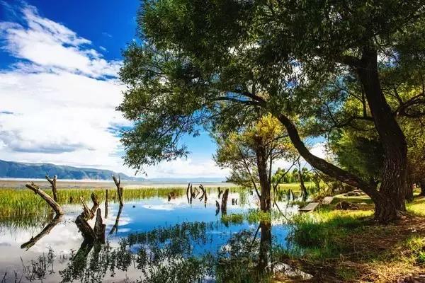 丽江至泸沽湖公路沿途风景,泸沽湖到丽江高速什么时候通车