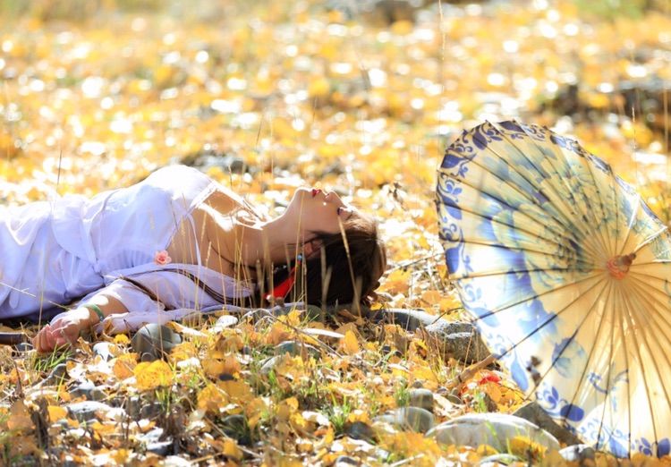 我在秋天等你是什么歌,我在秋天等你美到心碎散文