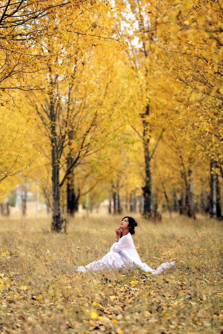 我在秋天等你是什么歌,我在秋天等你美到心碎散文