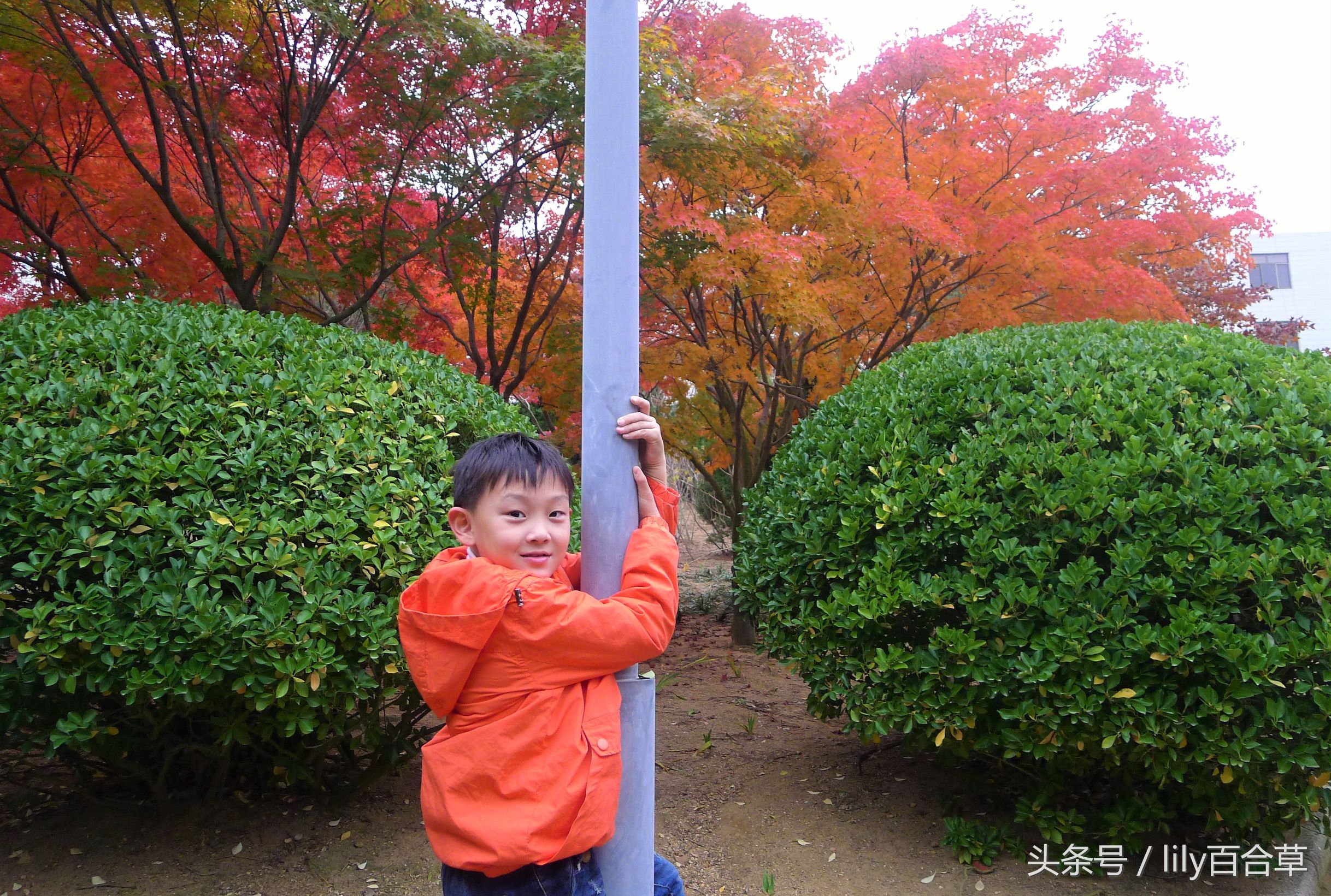 鬼马少年完全版,鬼马少年系列