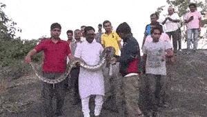 没有耳洞结婚要买金耳环吗,没有耳洞结婚饰品