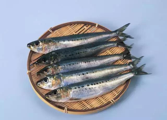 孕期每个月都需要补充什么,孕期每个月需要补充什么营养