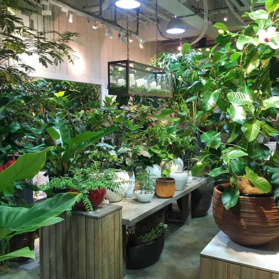 东京花店,东京南青山花店