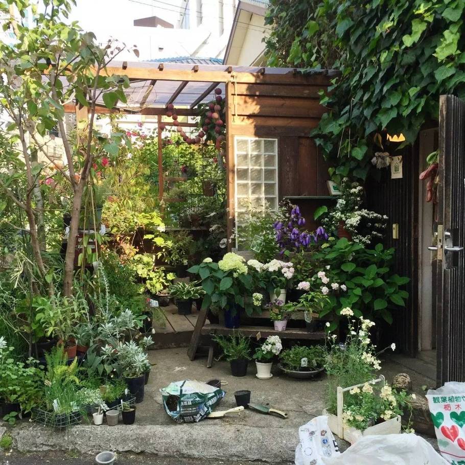 东京花店,东京南青山花店