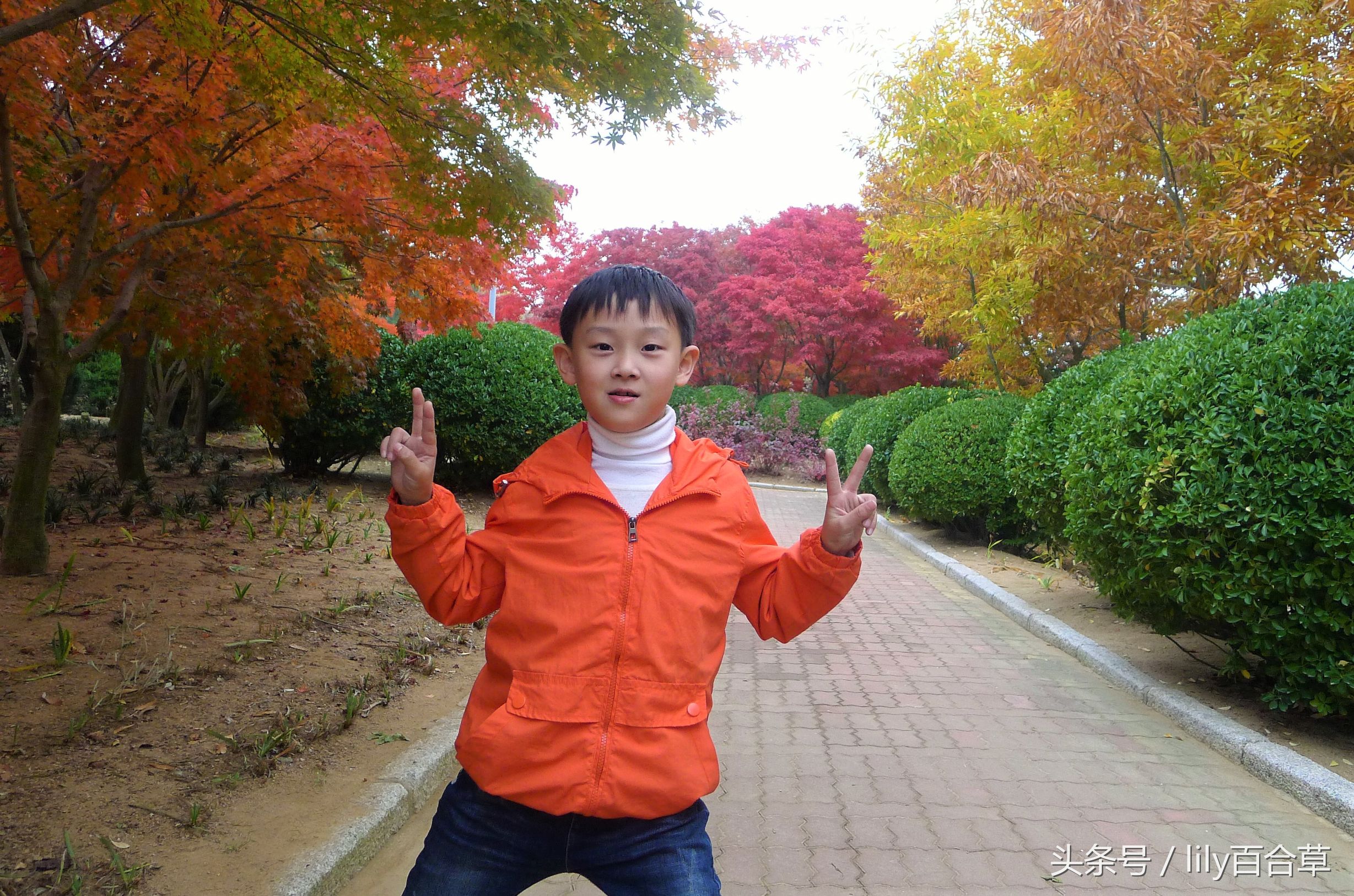 鬼马少年完全版,鬼马少年系列