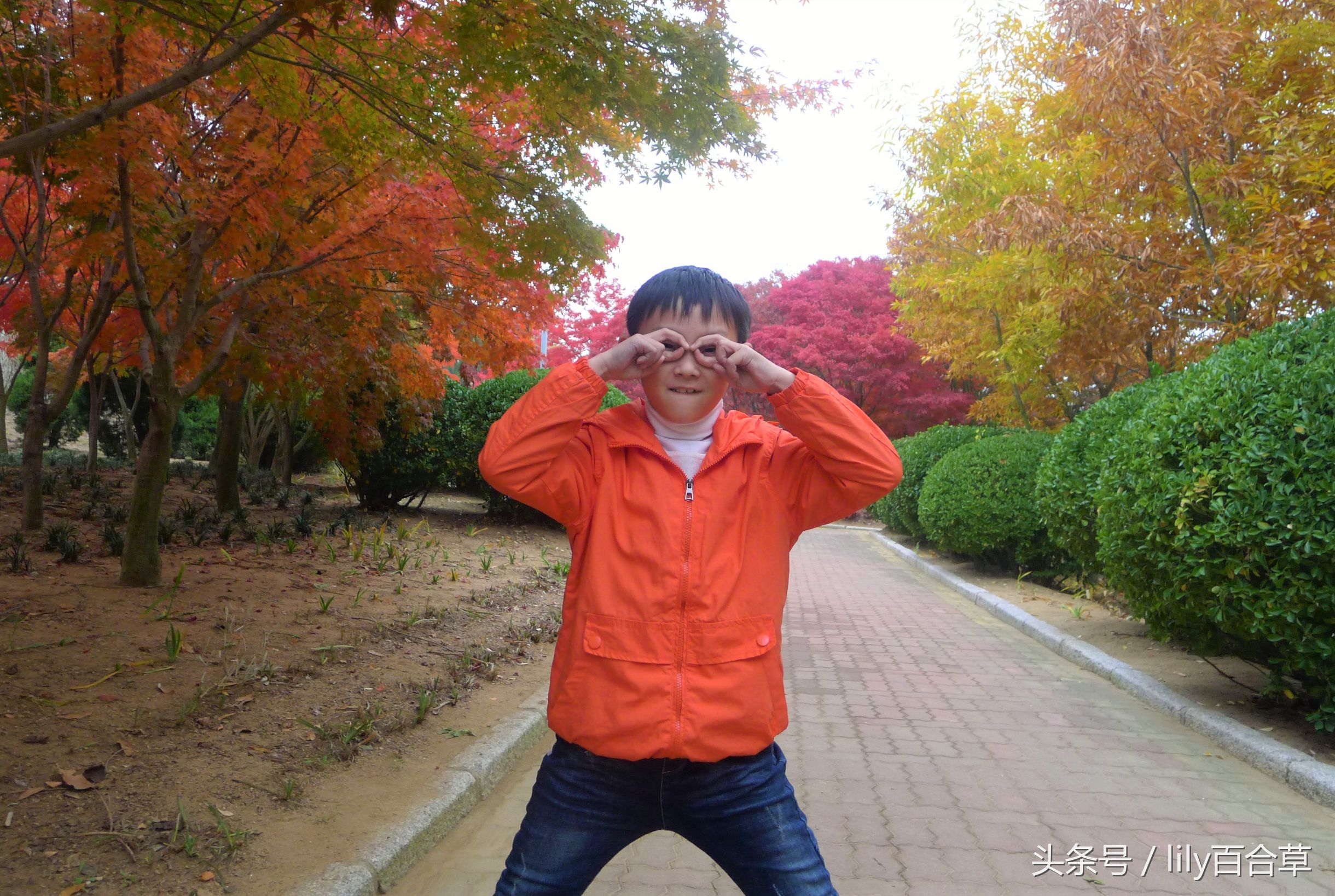 鬼马少年完全版,鬼马少年系列