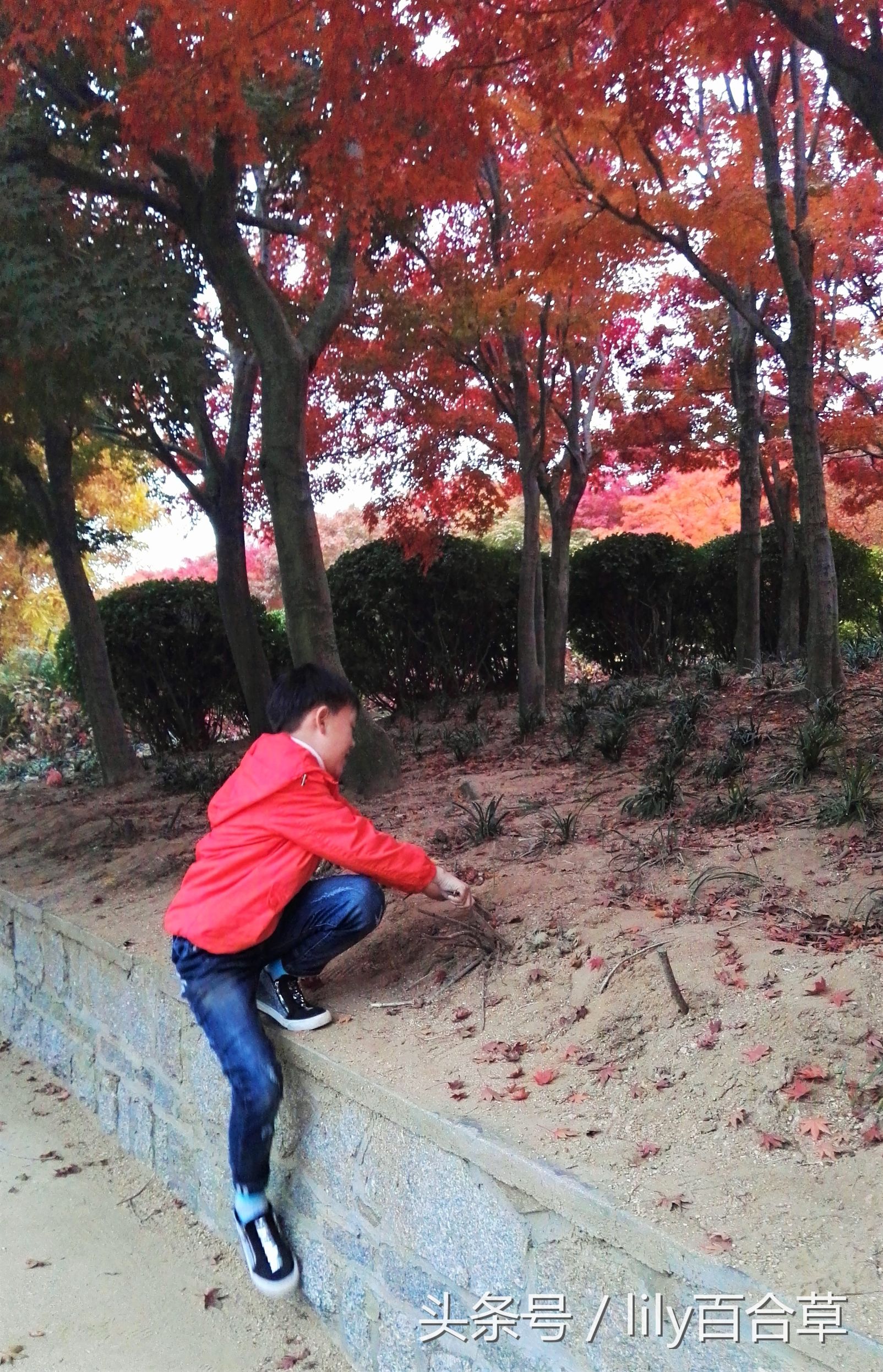 鬼马少年完全版,鬼马少年系列