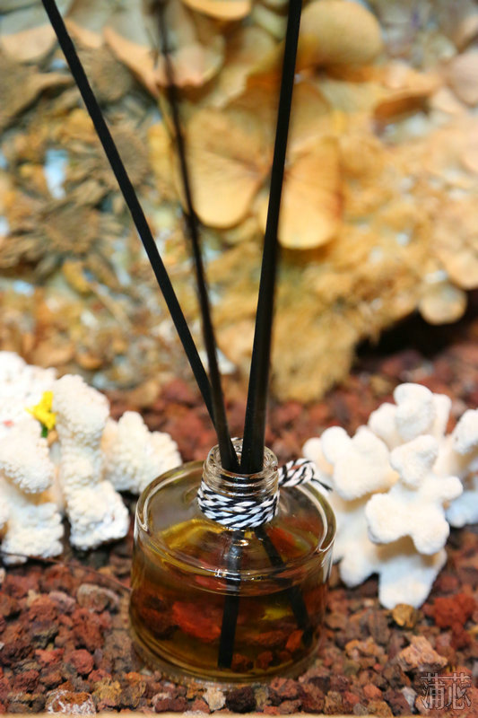 济州岛看枫叶,济州岛枫叶