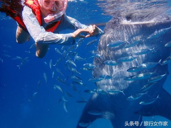 冬天到了，让我们去暖和的东南亚宿雾小岛感受温暖