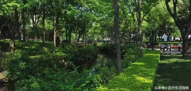 苏州平江路网红打卡地,苏州十大名街