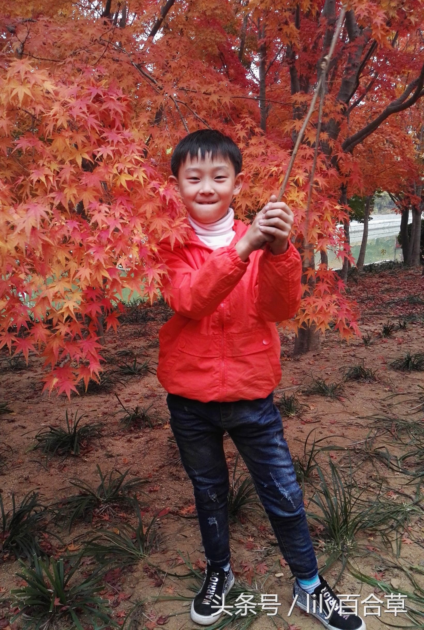 鬼马少年完全版,鬼马少年系列