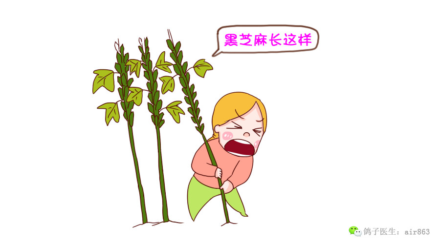 孕妇冬季怕冷合适吃什么,冬天孕妇吃什么东西驱寒