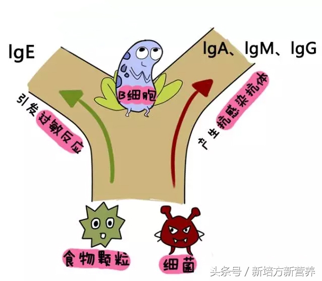 宝宝湿疹用激素药副功能,治疗湿疹的激素类软膏副功能