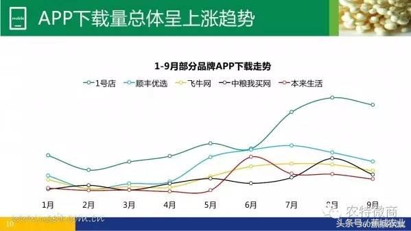 生鲜电商行业市场数据报告,中国生鲜电商发展简报2013年