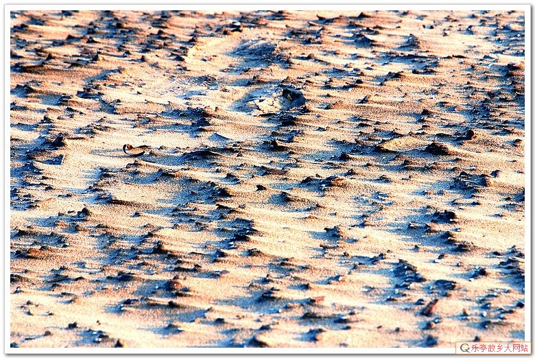 5年前的今天：初冬，如梦如幻的浅水湾（原乐亭辖区）