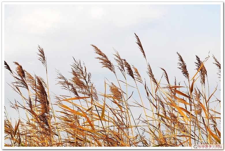 5年前的今天：初冬，如梦如幻的浅水湾（原乐亭辖区）