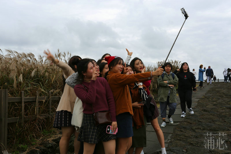 济州岛看枫叶,济州岛枫叶