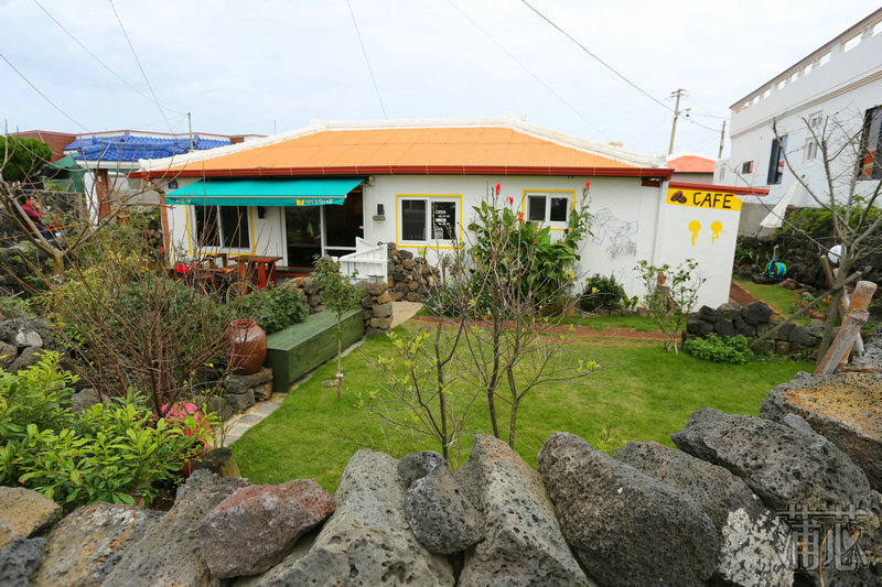 济州岛看枫叶,济州岛枫叶