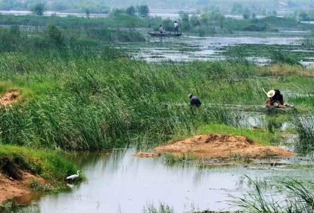 临沂有哪些不为人知的地方,临沂真是个神奇的城市