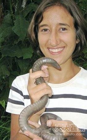 世界上最强的灵长类动物,盘点世界上怪异的巨大动物