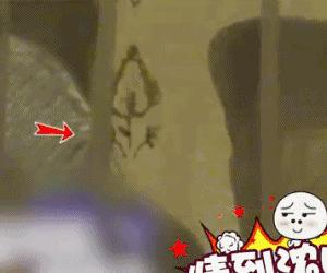 杨紫肖战微博之夜秦俊杰在吗,杨紫肖战秦俊杰新戏