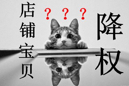 店铺是否被隐形降权去哪看,京东店铺被隐形降权