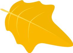 新乡中心医院周日知名行家坐诊,新乡市中心医院行家坐诊时间表