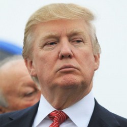 欢迎来到汽车动物园之车型馆