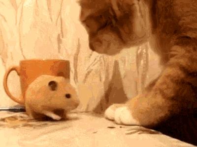 为什么哭的时候喉咙紧,为什么哭的时候喉咙很累