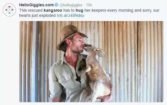 最懂得感恩的袋鼠，十年来每天拥抱救命恩人！袋鼠界的一股清流