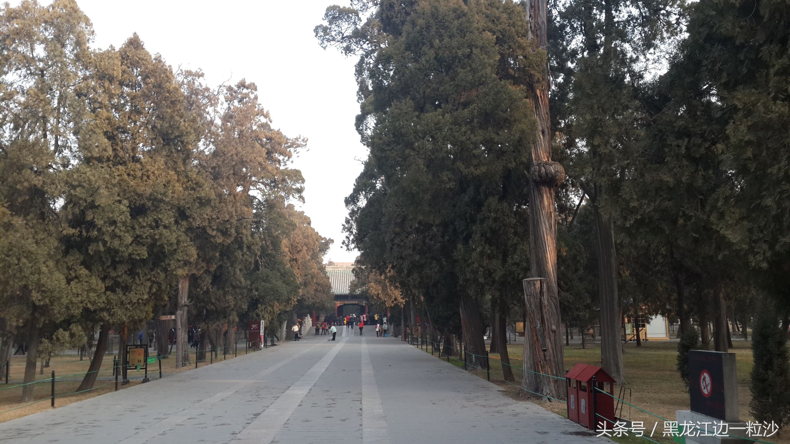 曲阜孔庙旅游免费攻略,走进孔子的故乡山东曲阜孔庙