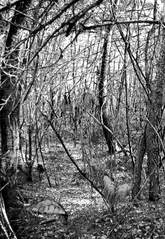 漫威丧尸英雄漫画4章,末世丧尸漫画超长