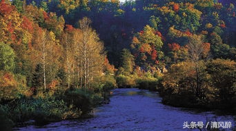 伤感友情文案催泪,伤感文案友情消失