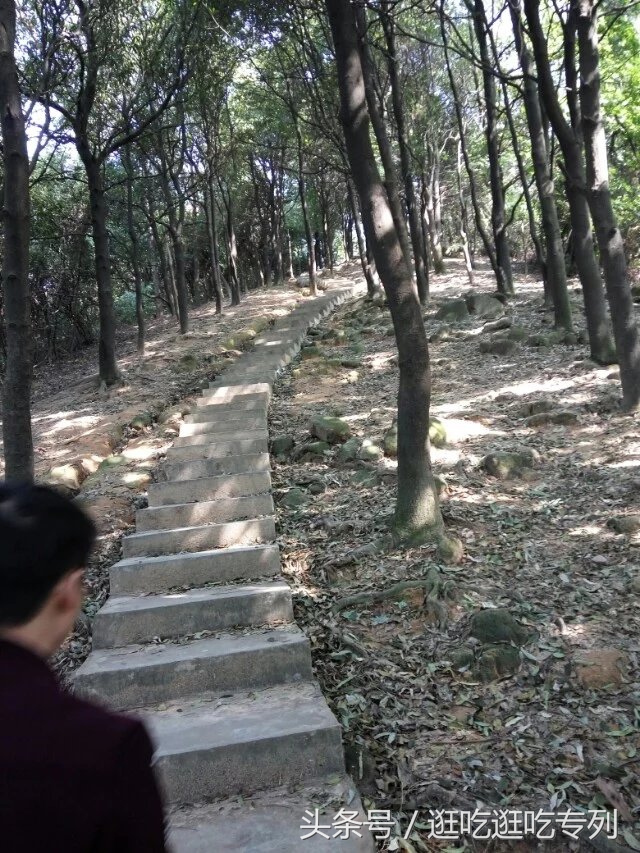 广州火炉山森林公园游玩攻略,广州火炉山徒步完全版