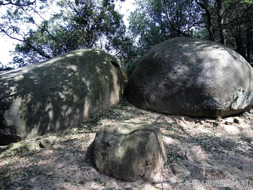 广州火炉山森林公园游玩攻略,广州火炉山徒步完全版