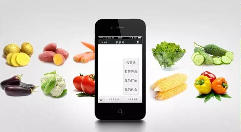 良田风采：联姻！中粮我买网看中良食网啥？