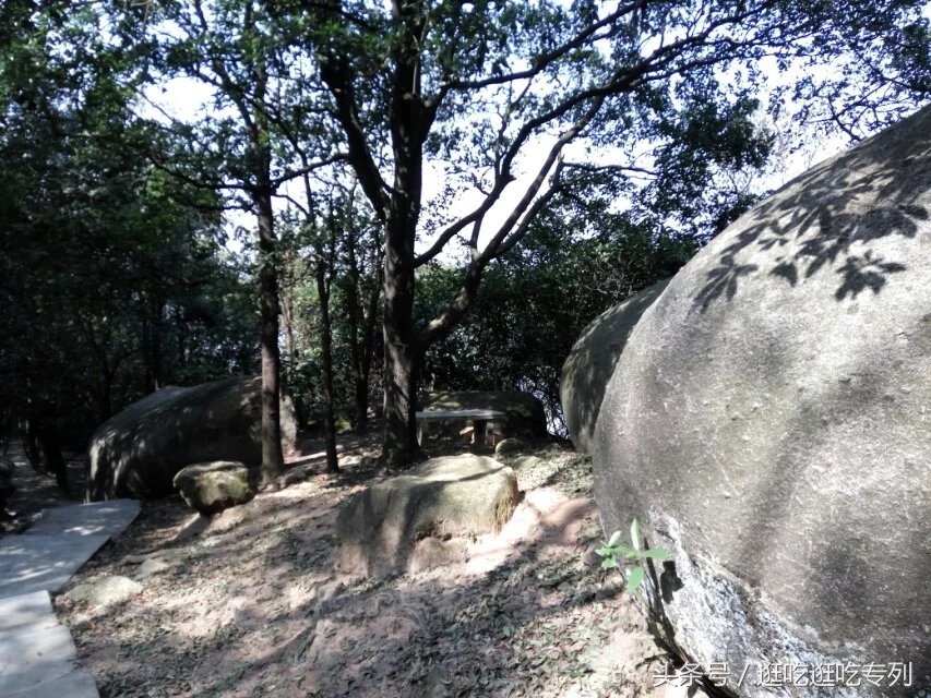 广州火炉山森林公园游玩攻略,广州火炉山徒步完全版