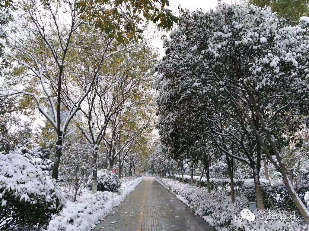 雪中宿迁，素颜都美到窒息！