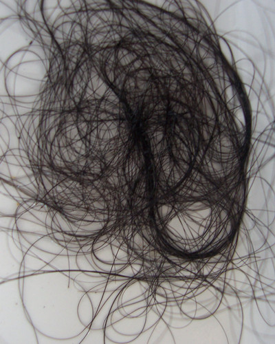 脱发怎么拯救自己的头发,怎样从脱掉的头发根辨别脱发原因