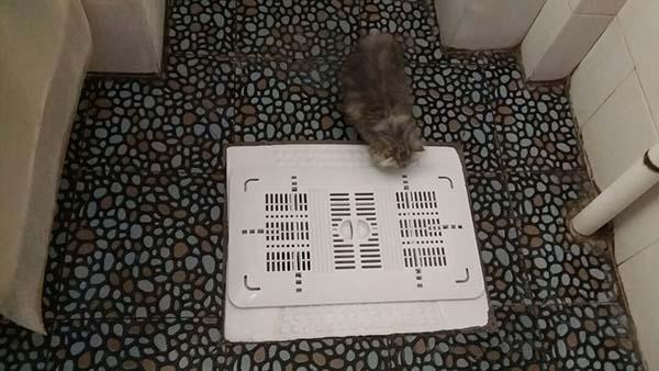 老婆卫生间装修神器,自从老婆买了一个洗衣神器